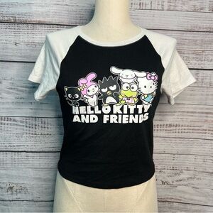 Hello Kitty and Friends Cropped T Shirt Medium Graphic Print‎
